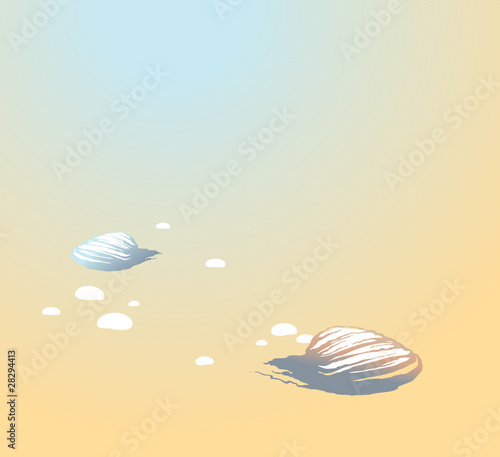 Seashells on the beach