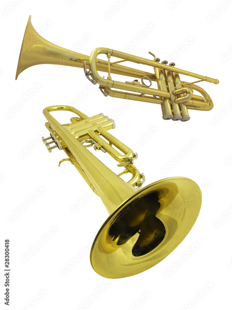Naklejka premium trumpet