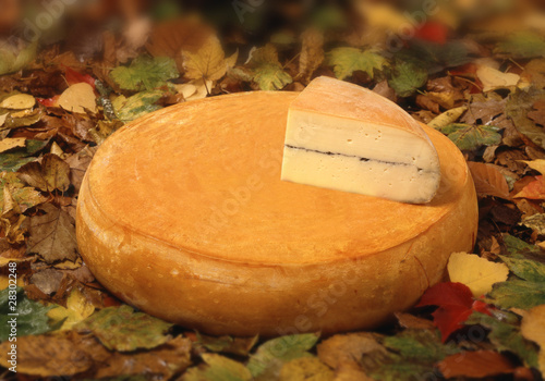 Fromage Morbier photo