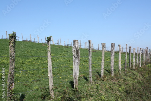 Dividing line of wooden post between grazing and footpad