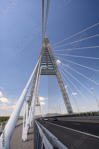 Detail of bridge (Hungary) © Nneirda