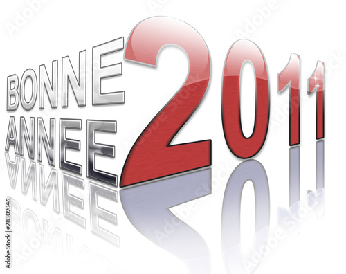 Obraz na płótnie voeux 2011