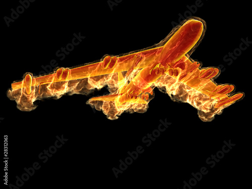 Flame bomber photo