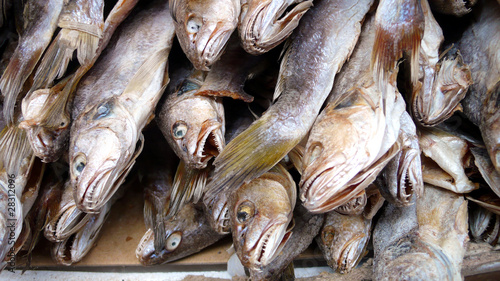 Photography Fischmarkt