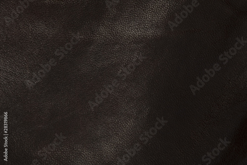 leather texture © Krakenimages.com