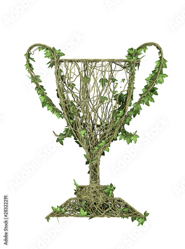 ivy nature award