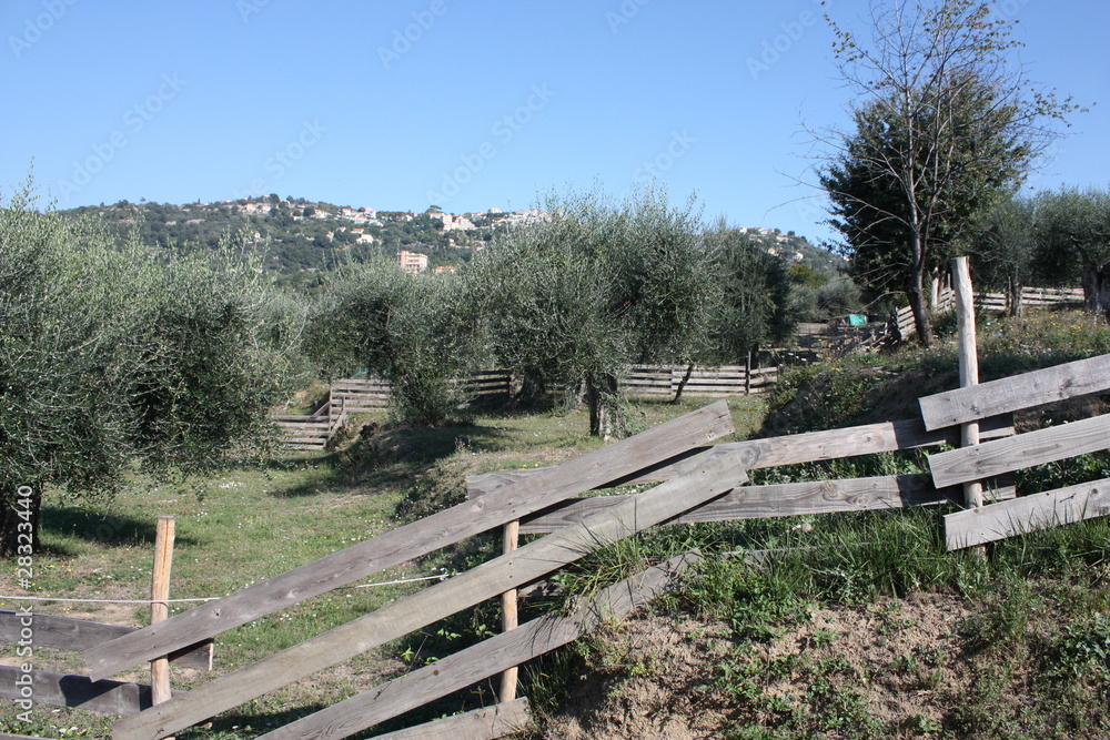 enclos oliver