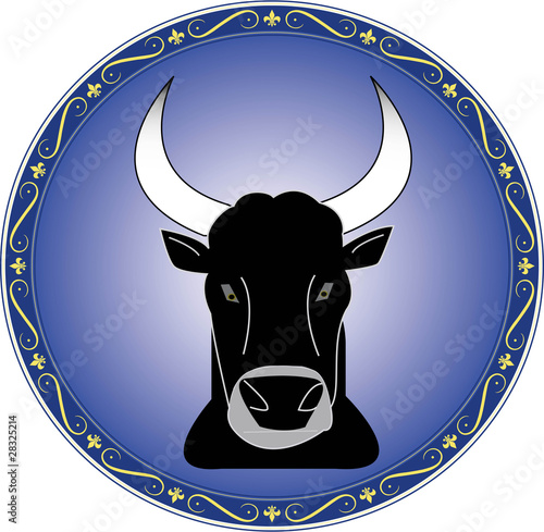 TORO