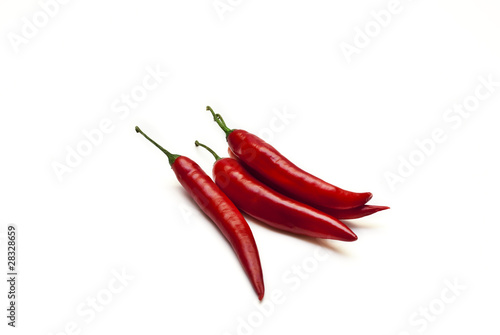Canvas Print red chilies isolated on white background