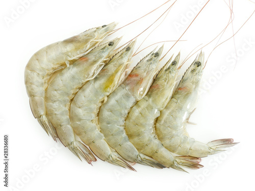 Raw Shrimps on white background