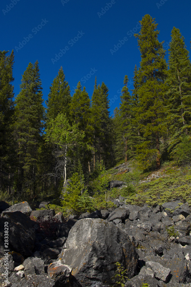 Rock Slide in Banff National Park Rock Slide in Banff National Park