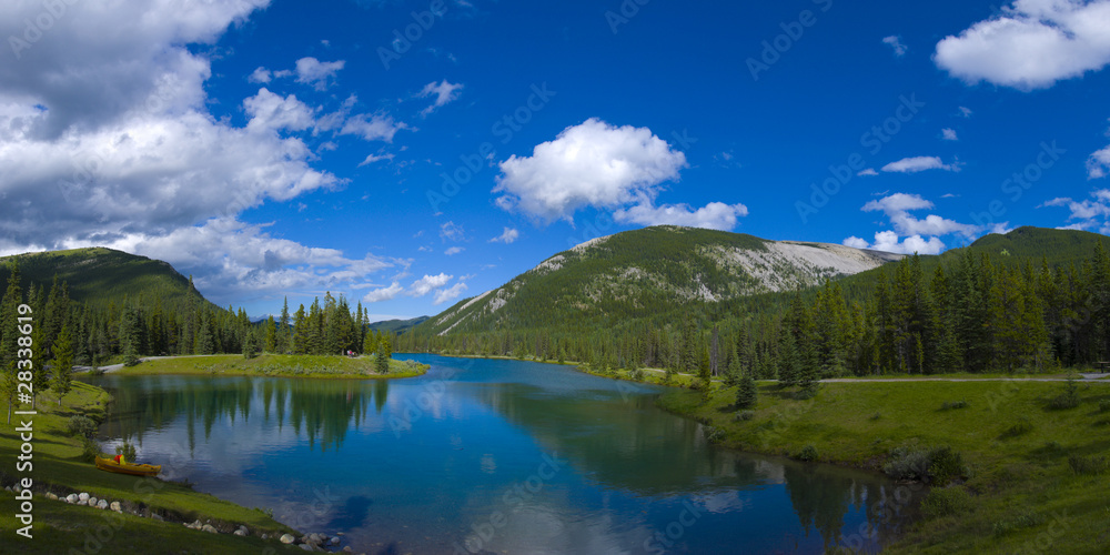 Forget me not Pond Panorama