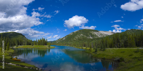 Forget me not Pond Panorama
