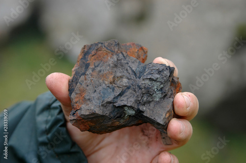 Hand showing rock with fossil plant remains photo