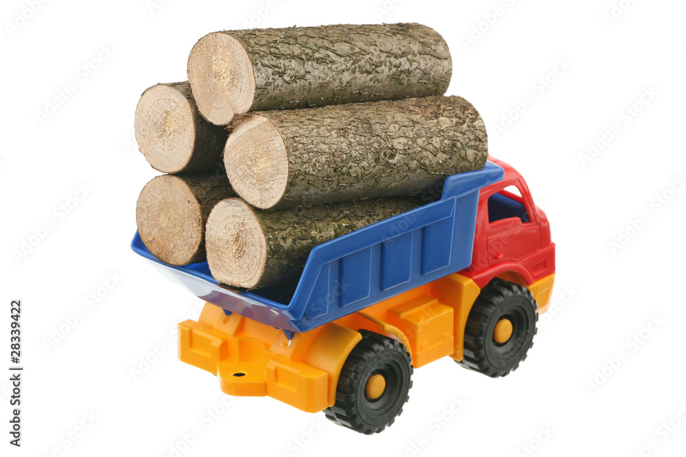 Logs in the truck