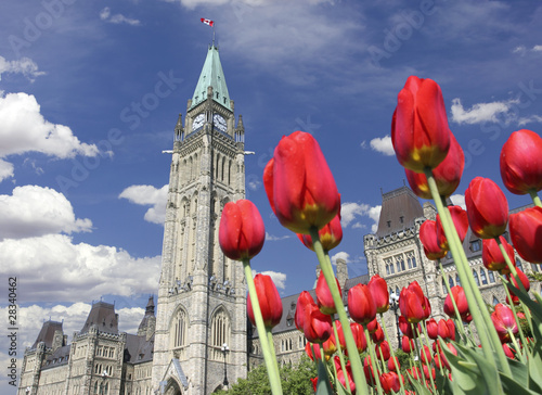 Parliament of Canada, Tulip Festival, Ottawa photo