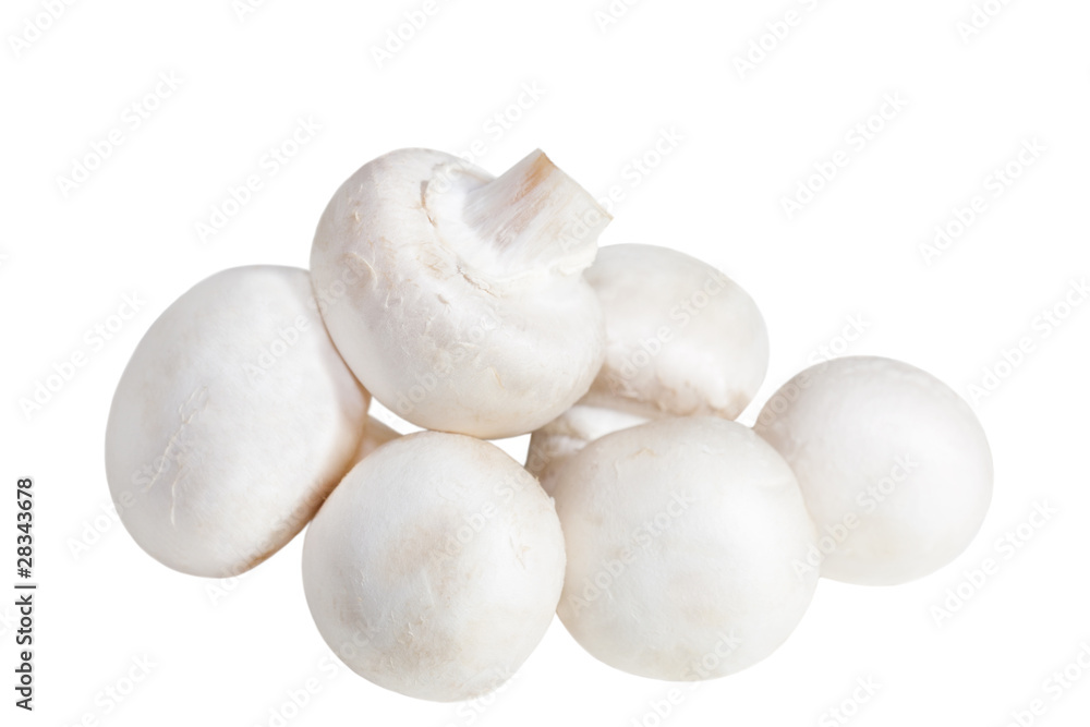 White Mushrooms