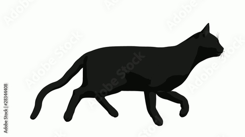 Black Cat