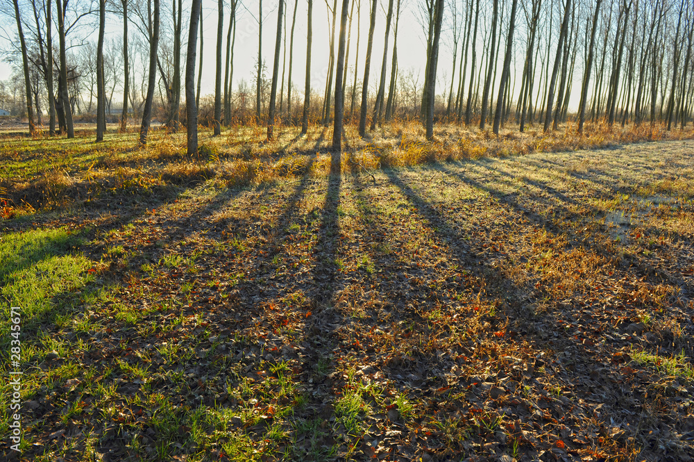 Naklejka premium sorgenti sile paesaggio 1373