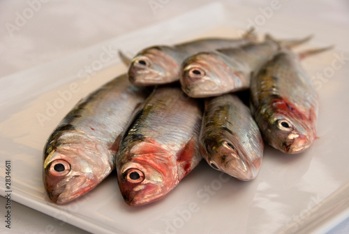 agoni (sardine) di lago