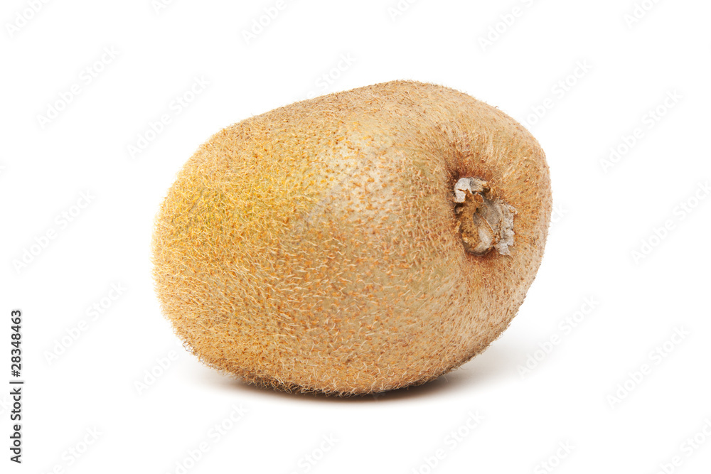 Fototapeta premium Kiwi isolated