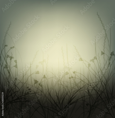 wild weeds