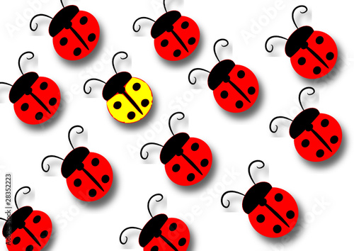 LADYBIRS