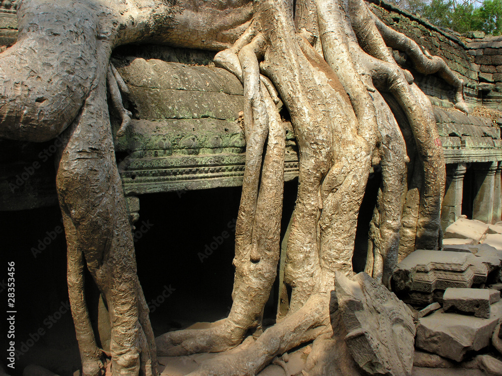 Fototapeta premium Tempel in Kambodscha