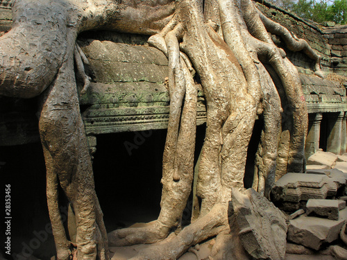 Tempel in Kambodscha photo