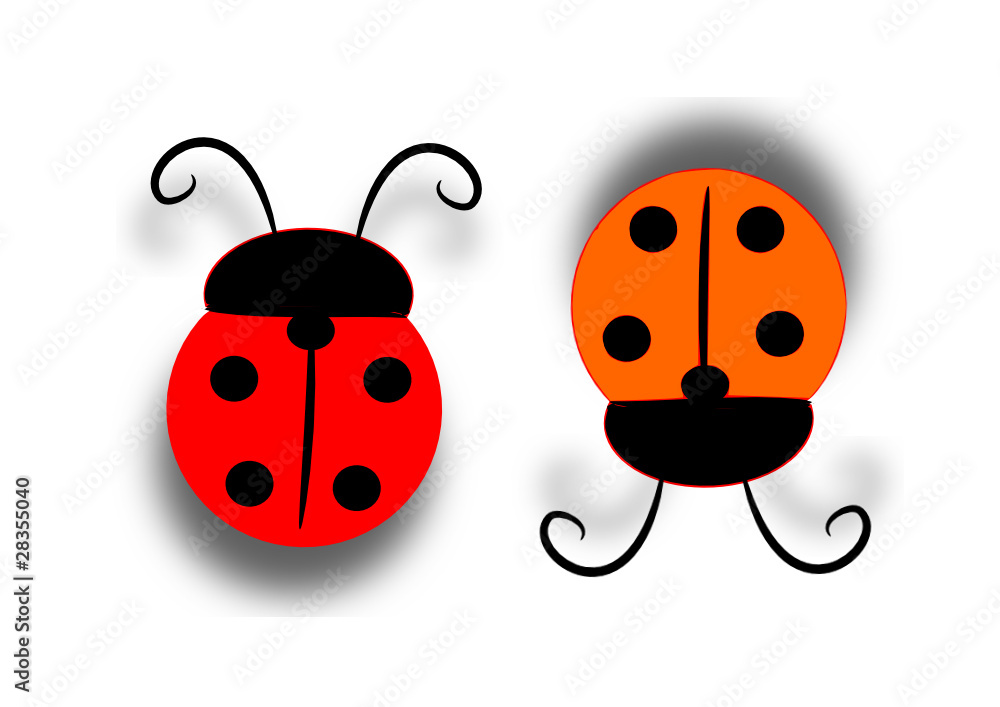 Obraz premium coccinelle opposte