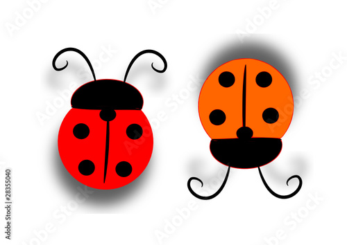 coccinelle opposte