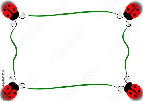 cornice verde di coccinelle