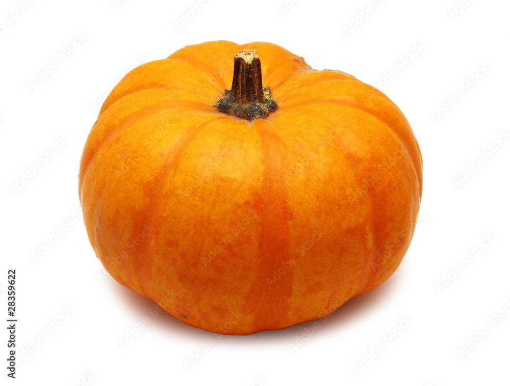 Fototapeta premium pumpkin