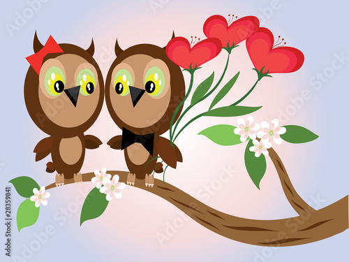 Two owls, CMYK