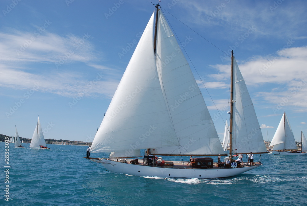 classic yacht sailing regatta
