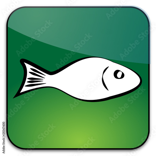 Karp