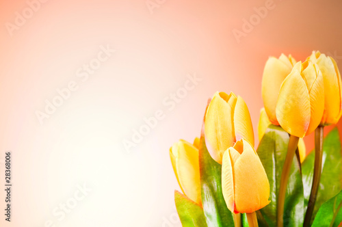 Bunch of tulip flowers on the table