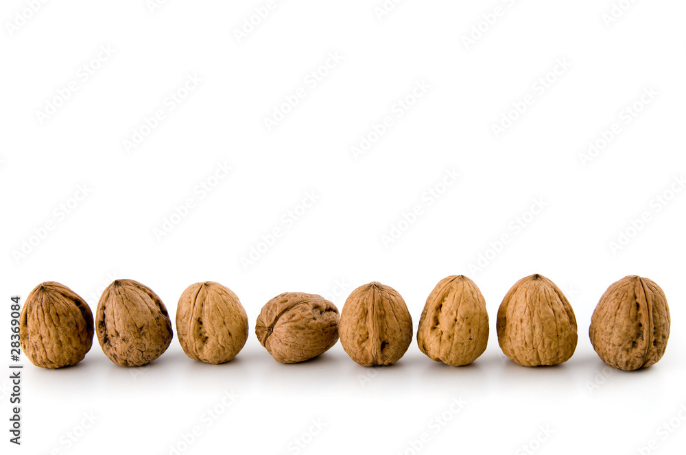 Walnüsse - Walnuts Walnüsse - Walnuts