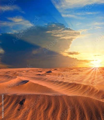 sunset among a sand dune