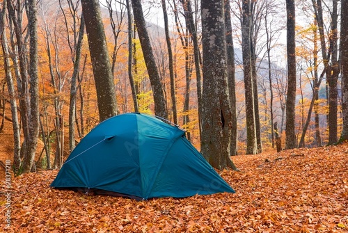 touristic tent in a quiet autumn forest