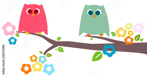 owls