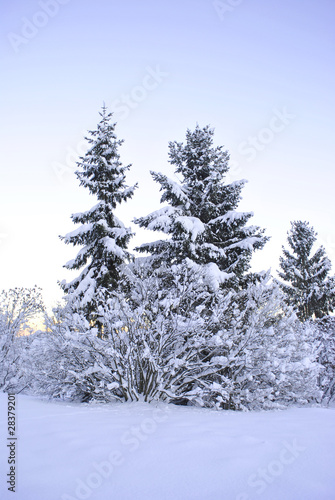 Wallpaper Mural winter landscape Torontodigital.ca