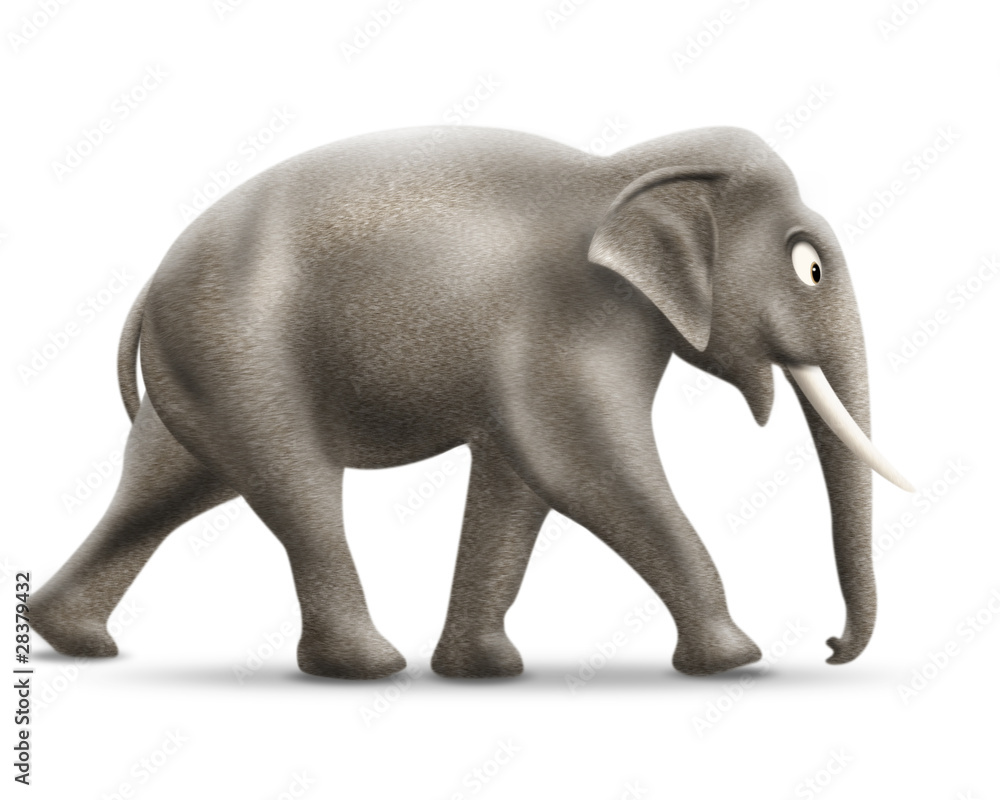 elephant elephant