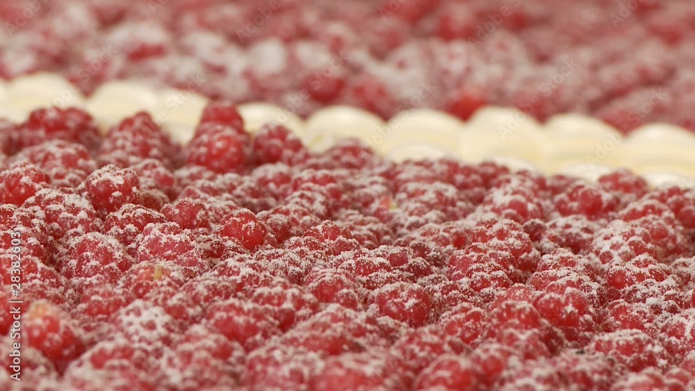 Himbeeren, Torte Himbeeren, Torte