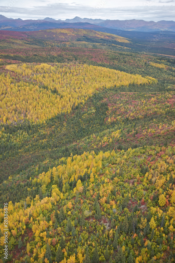 Colorful Hills and Mountains