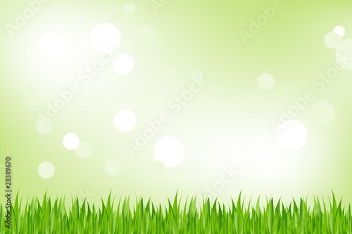 Green Grass