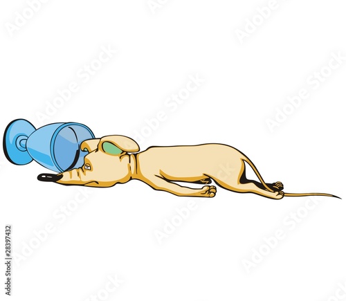 Drunken mouse procumbent near overturned goblet