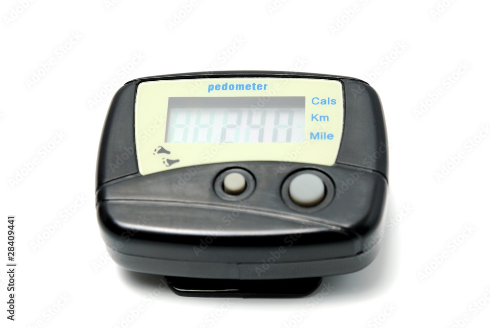 Digital Pedometer Digital Pedometer