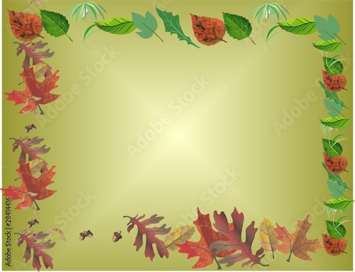 leaves