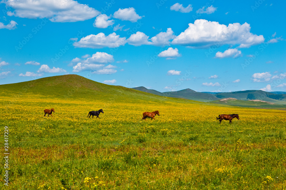 Landscape of grassland in Inner Mongolia Landscape of grassland in Inner Mongolia